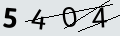 verifycode